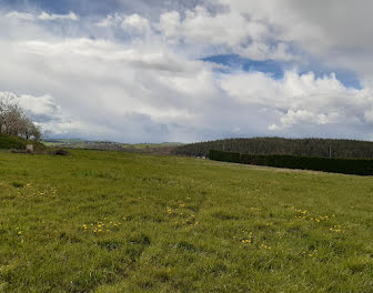 terrain à Saint-Quintin-sur-Sioule (63)