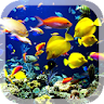 Real Aquarium Live Wallpaper icon