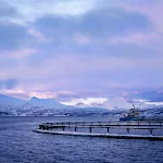 The Tidal team's test site on a fish farm off the Arctic coast of Norway 