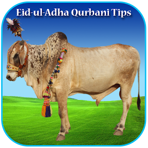 alt="Muslims from all over the world celebrate Eid ul Adha on the 10th of Zilhaj. Eid-ul-Adha Qurbani Tips that is a Qurbani tips in English will guide you on Sunnet e Ibraheem. The reference from quran and ahadees.  There are lot of answers which everyone wants to know about islamic qurbani tips. Categories in various content for simple and core information regarding qurbani tips.  How is the Animal for Slaughtering etc.   -----Features:-----  1. Eid-ul-Adha 2. What to Sacrifice? 3. Right Way of Sacrifice 4. Meat’s Three Parts"