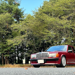 190シリーズ W201