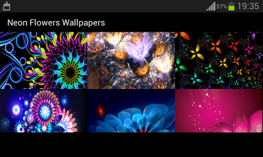 免費下載個人化APP|Neon Flowers Wallpapers app開箱文|APP開箱王