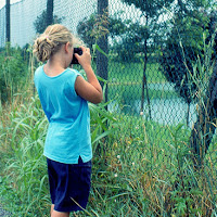 Piccoli fotografi crescono di 