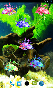 How to mod Double Fish Live Wallpaper 1.1 unlimited apk for android