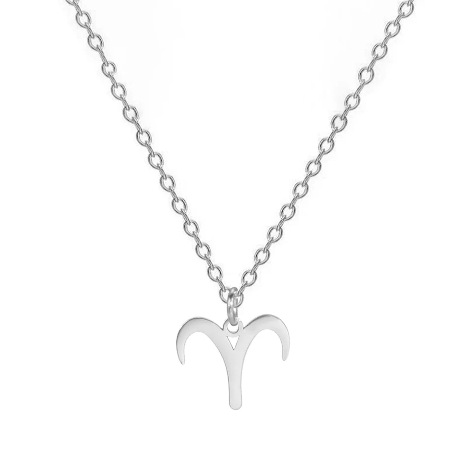 Roestvrijstalen halsketting met de Twaalf Sterrenbeelden, een elegante ketting om je sterrenbeeld en stijl te laten zien.