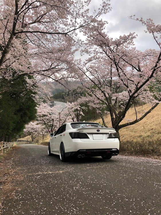 クラウンアスリートのせいくんねっとわ～く・20inch・桜に関するカスタム事例の投稿画像6枚目