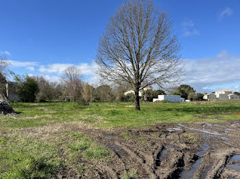 terrain à Arvert (17)