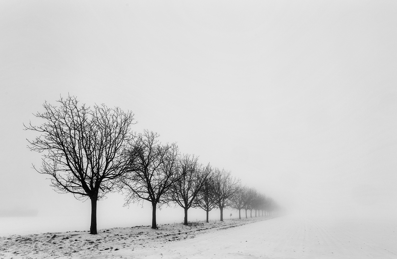 Fra neve e nebbia di CarloBassi