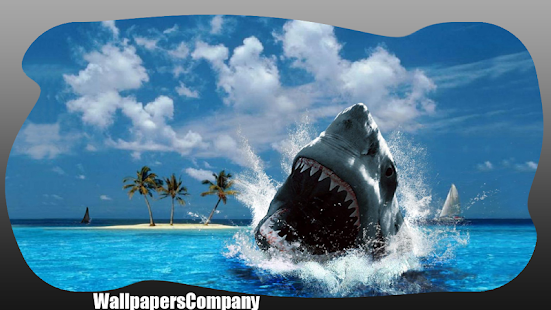 How to mod Megalodon Wallpaper patch 2.1 apk for laptop