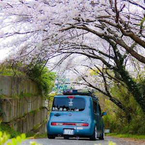キューブ Z12