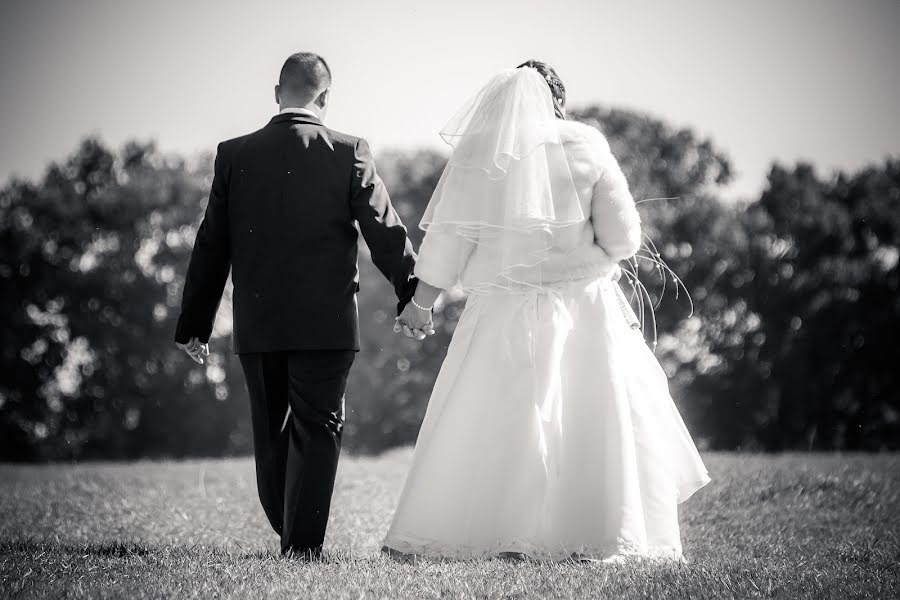 Photographe de mariage Sándor Molnár (szemvideo). Photo du 24 juin 2014