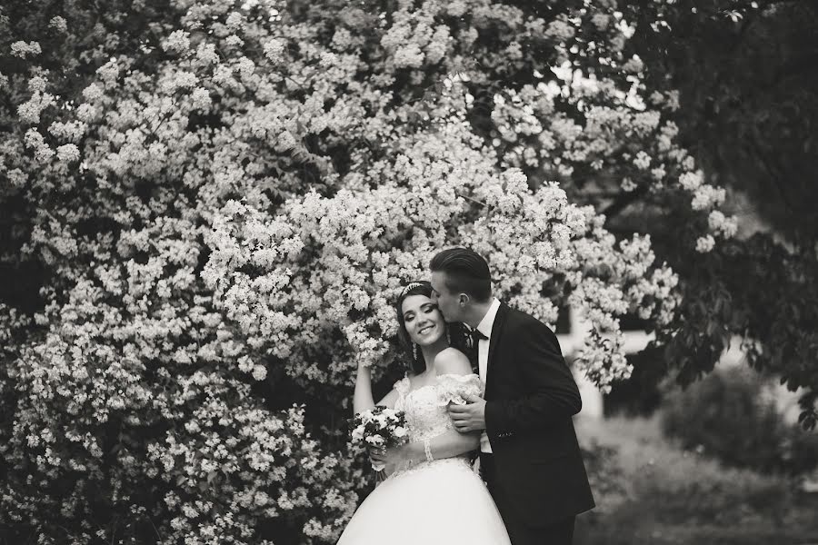 Fotografo di matrimoni Aleksandr Levchenko (fotograf). Foto del 3 giugno 2017