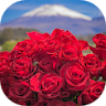 Beautiful flowers pictures icon