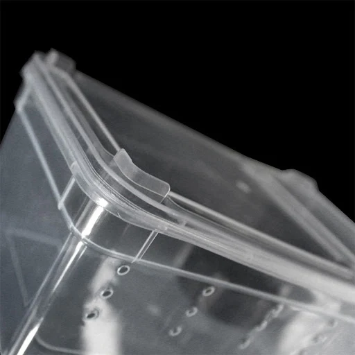 19x12.5x7.5CM Terrarium For Reptiles Spider Transparent Plastic Feeding Box Insect Food Feeding Container Insect Breedin