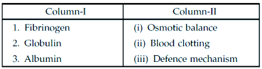 Connective Tissues