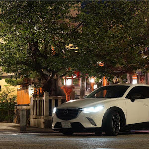 CX-3 DK5FW