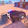 Police Drift Stunt Game New Tab