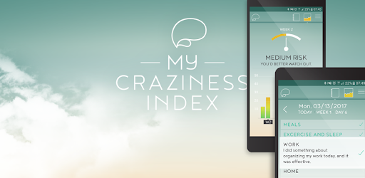 My Craziness Index on Windows PC Download Free - 1.1.1 - net.solve_x.kontrastika.aktivnosti
