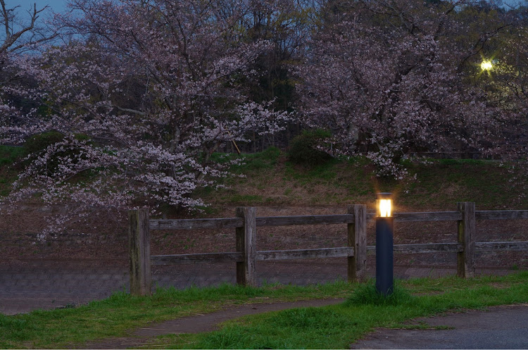 サンバー ディアス バンのオールジャンル走行会・ひとり撮影会・桜・夜桜撮影・一眼レフに関するカスタム事例の投稿画像34枚目