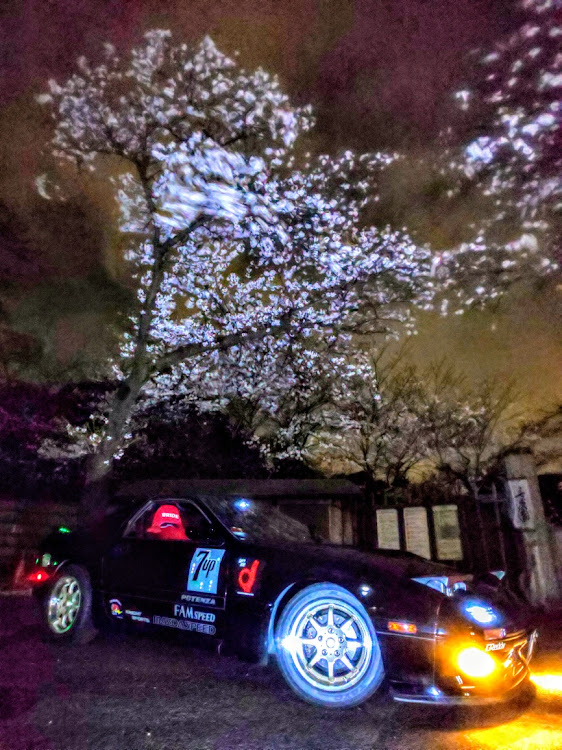 RX-7のFC3S・横浜・桜と愛車・ミッチー撮り・夜桜に関するカスタム事例の投稿画像5枚目