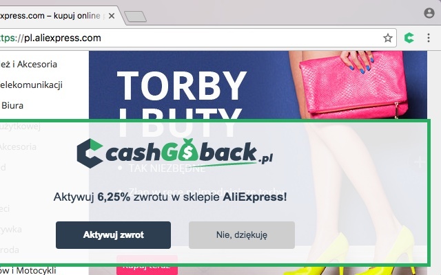 Wtyczka cashgoback.pl