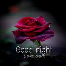 Good Night Images Sweet Dream Wishes And Pictures Apps On Google