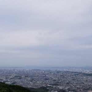 アクセラスポーツ BLFFW