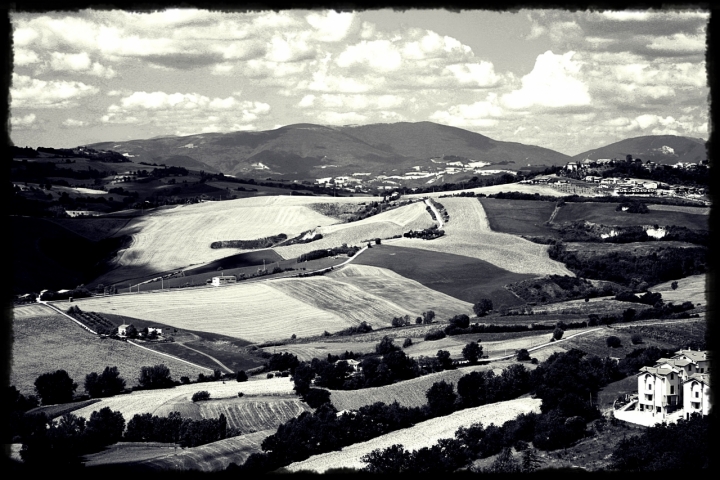 Colline marchigiane di Sara Imbesi