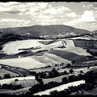 Colline marchigiane di 