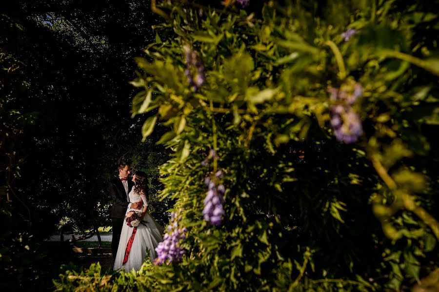 Fotograf ślubny Pantis Sorin (pantissorin). Zdjęcie z 18 października 2017