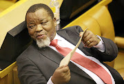 Mineral resources and energy minister Gwede Mantashe.