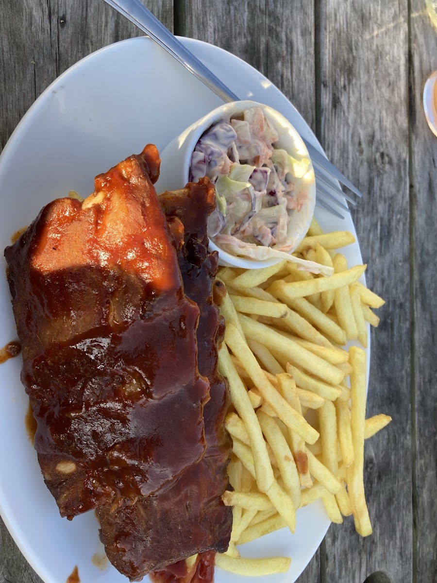 GF ribs and fries