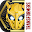 Bee Vision Bumblebee AR Experience Download on Windows