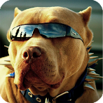 Cover Image of Tải xuống Cool Dog Live Wallpaper 1.03 APK