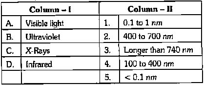 Photosynthetic Apparatus