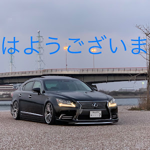 LS USF40