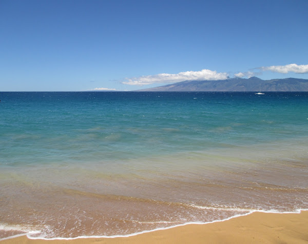 Maui Beach