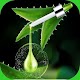 Download Applied 40 herb for 100 health condition For PC Windows and Mac 1.1