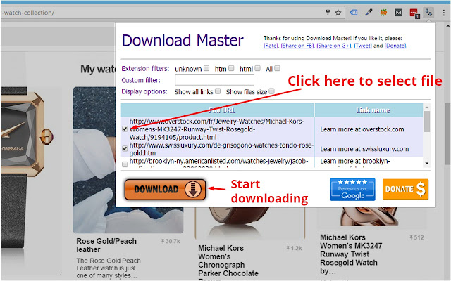 Download Master Free Download Manager