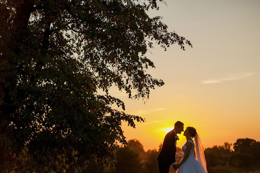 結婚式の写真家Sasha Radchuk (sasharadchuck)。2016 4月8日の写真