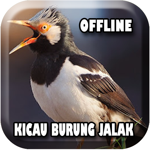 Masteran Jalak Mp3 Offline 1 0 Apk Download Com Andromo
