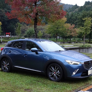 CX-3 DK5FW