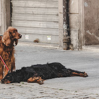 a passeggio di 