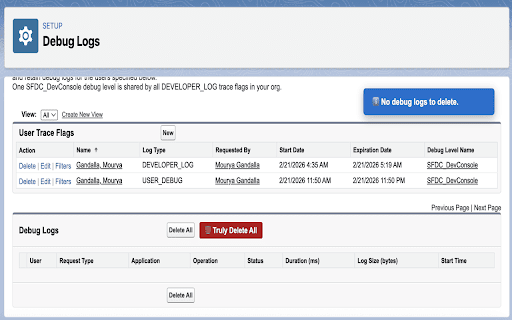 Salesforce Debug Log Cleaner screenshot 3