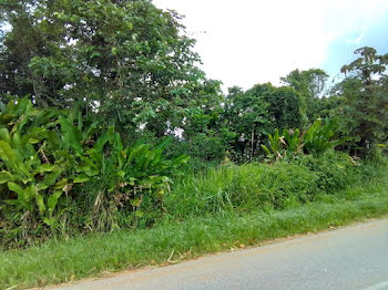 terrain à Macouria Tonate (973)