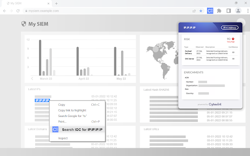 Risk Intelligence Web Extension