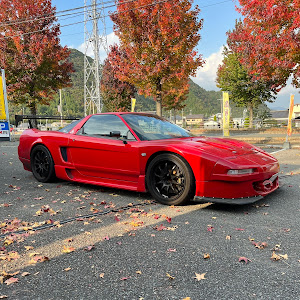 NSX NA1