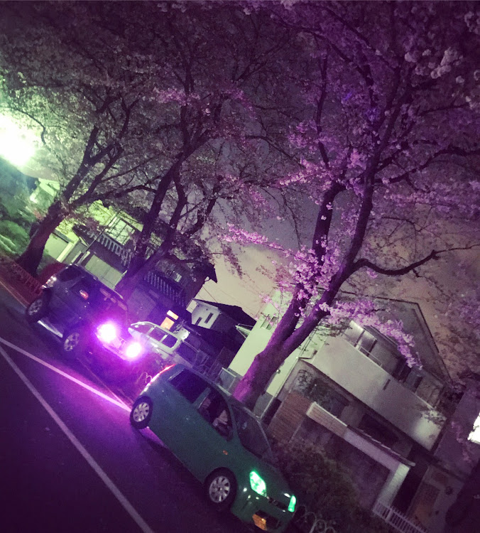 ミラのジムニーJB23・ミラL250・ミラ・桜とコラボに関するカスタム事例の投稿画像1枚目