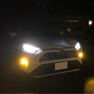 RAV4 MXAA54