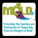 Tampa Mold Remediation